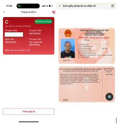VNeTraffic